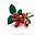 Csipkebogy�